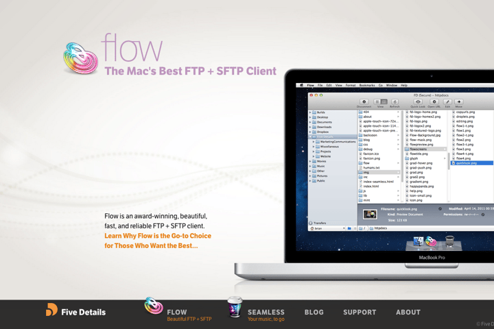 Five Details website preview